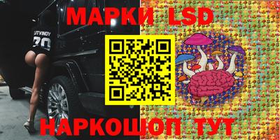 apvp Ливны