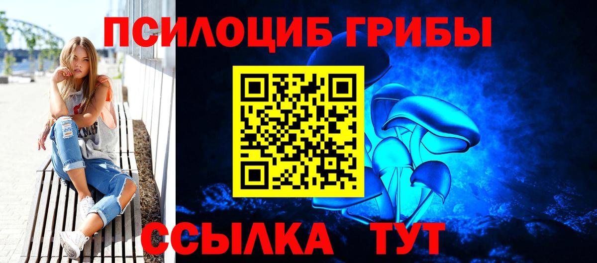 Галлюциногенные грибы Psilocybine cubensis  Вход с VPN  Карпинск 