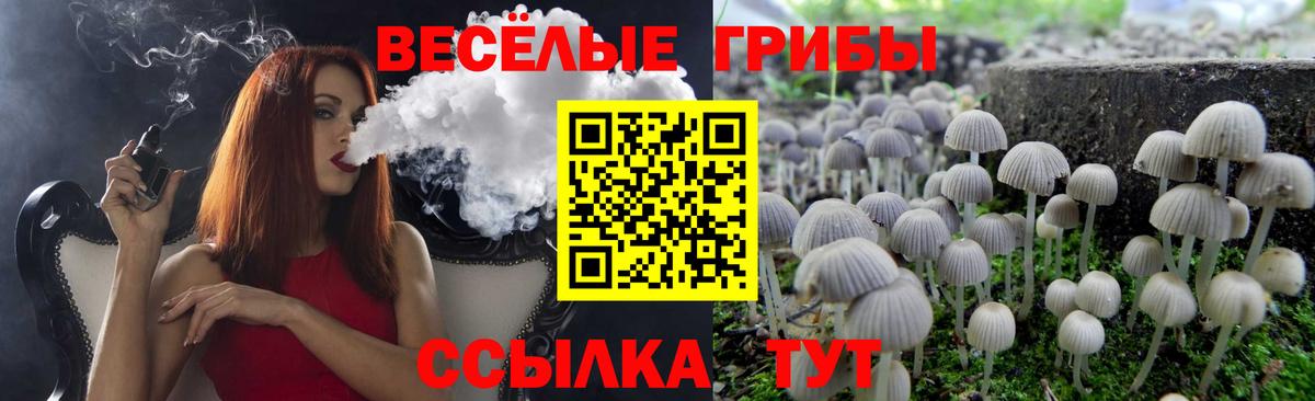 Галлюциногенные грибы GOLDEN TEACHER Карпинск